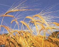 Израильская компания Agrotop планирует построить в Пензенской области завод по производству биоэтанола