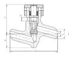 Клапан обратный 1524-32-0 DN 32 мм PN 100 кгс/см2