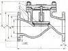 Клапан обратный подъемный 16с10нж DN 50 мм PN 16 кгс/см2