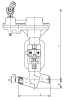 Клапан запорный 1053-50-ЦЗ DN 50 мм PN 137 кгс/см2